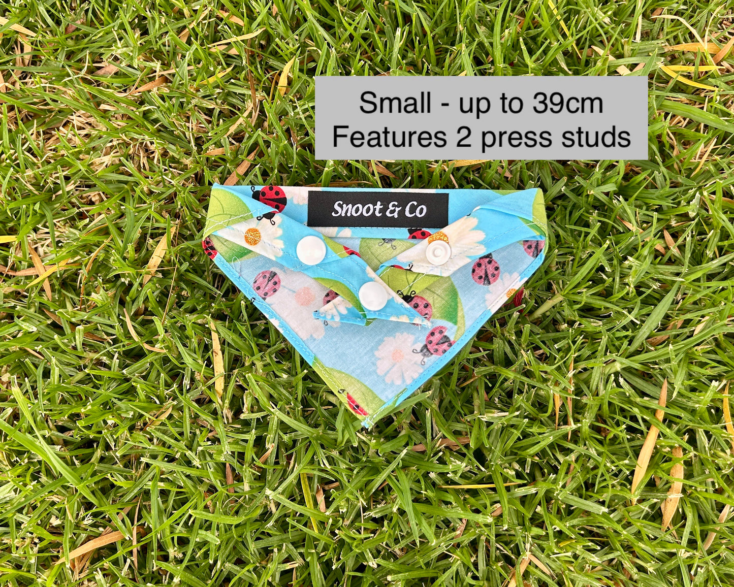 Ladybird Bandana