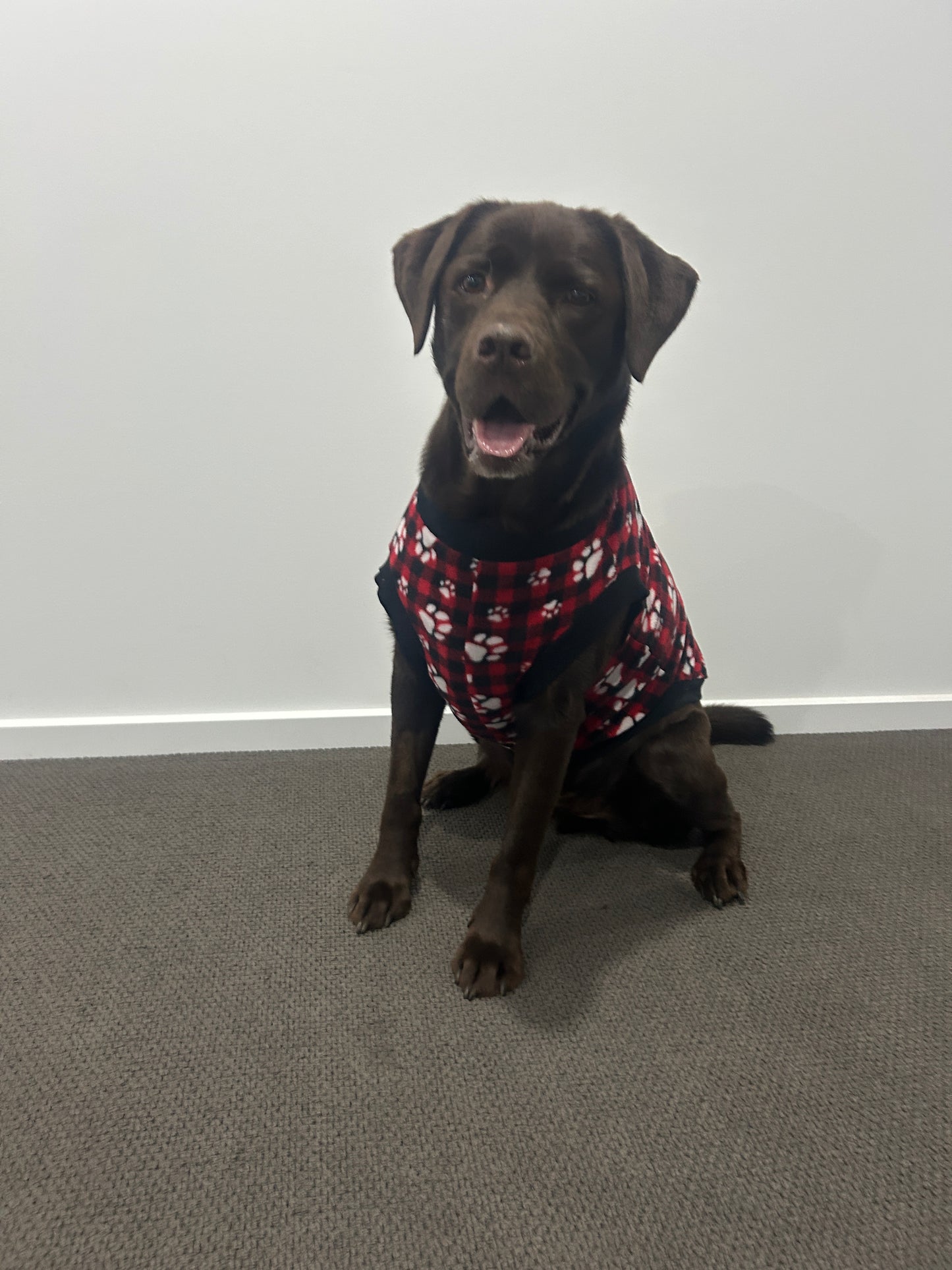 Red Paw Print Tartan Jumper
