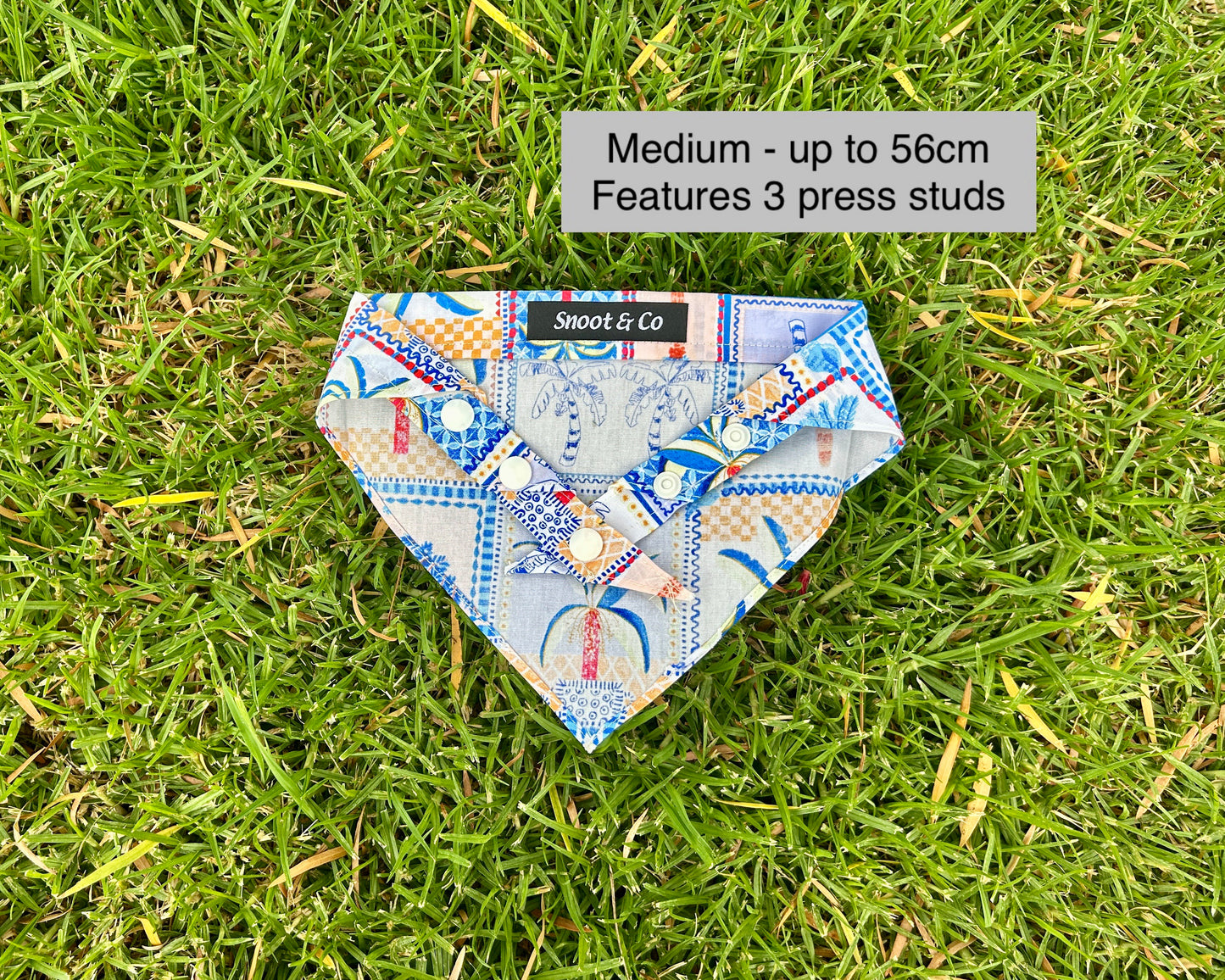 Palm Springs Bandana