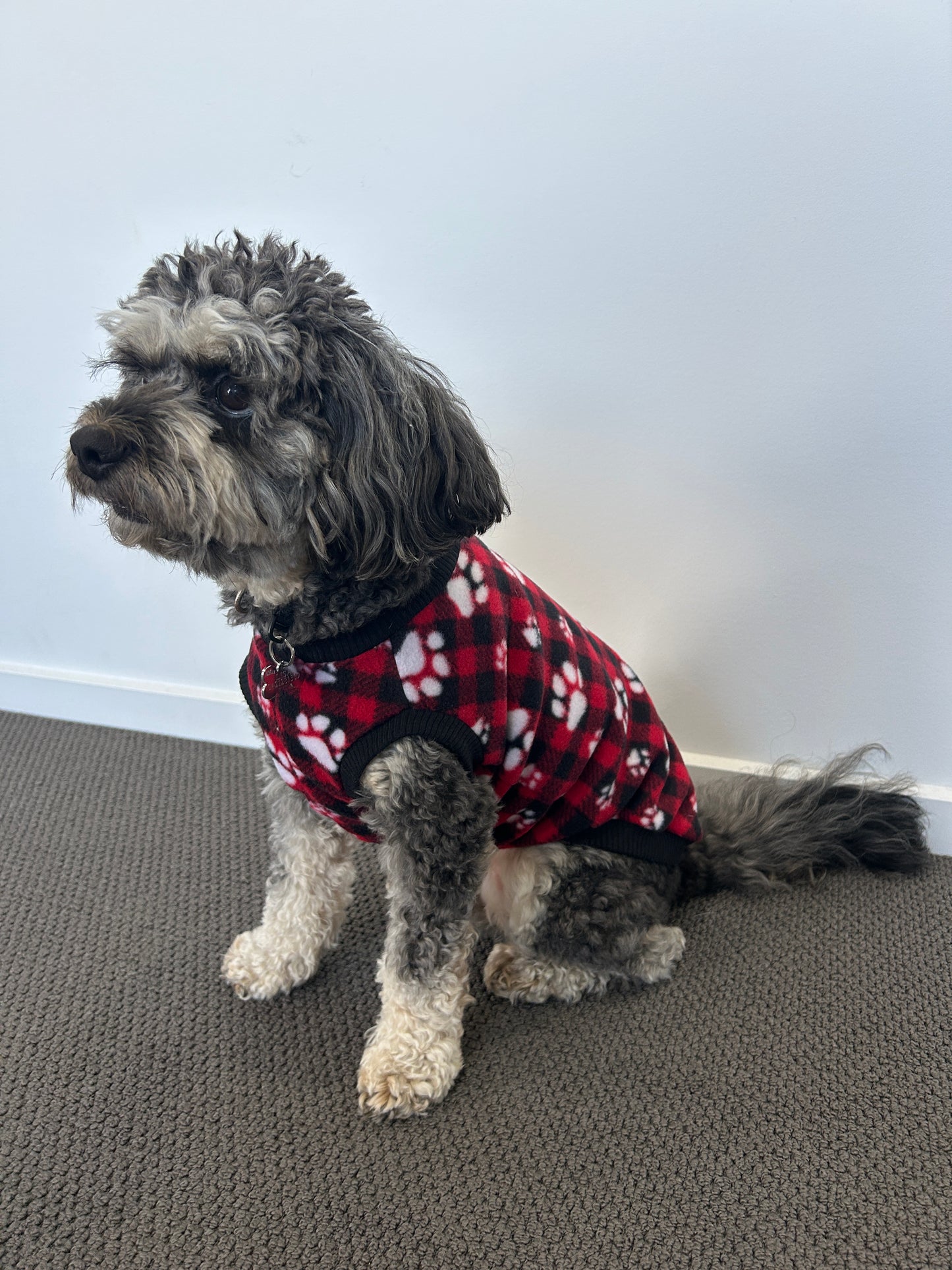 Red Paw Print Tartan Jumper
