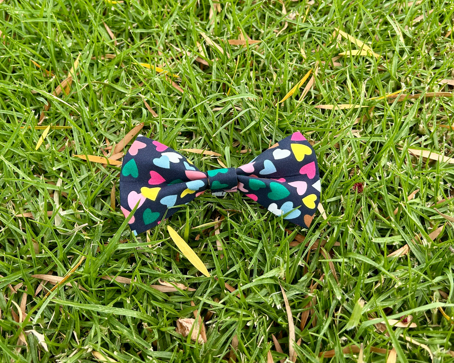 Valentines Bow Tie