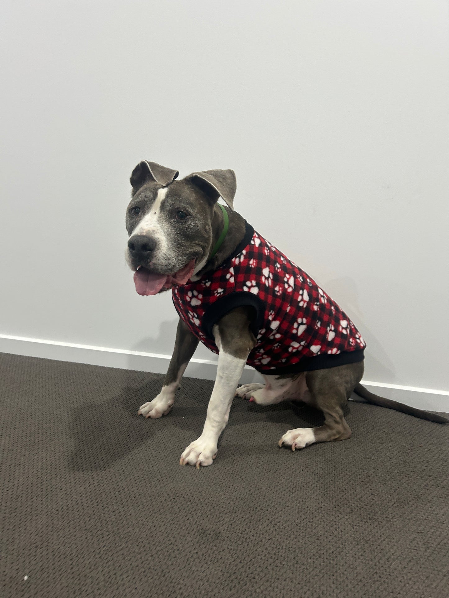 Red Paw Print Tartan Jumper