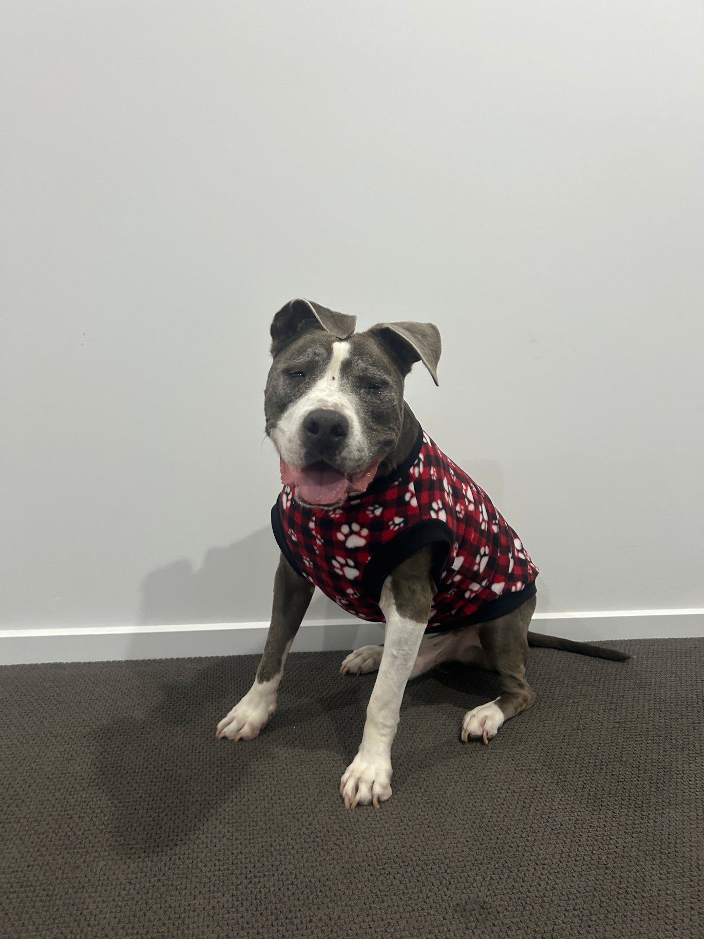 Red Paw Print Tartan Jumper