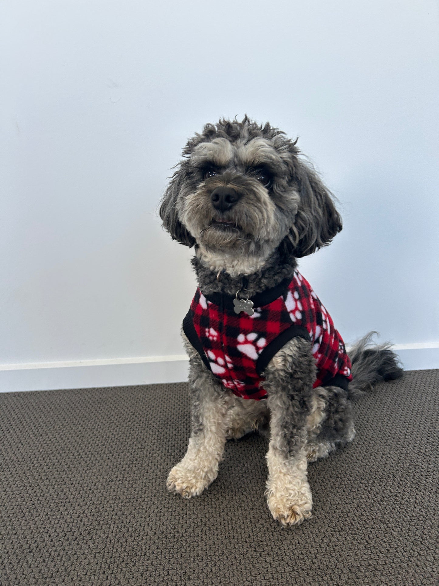 Red Paw Print Tartan Jumper
