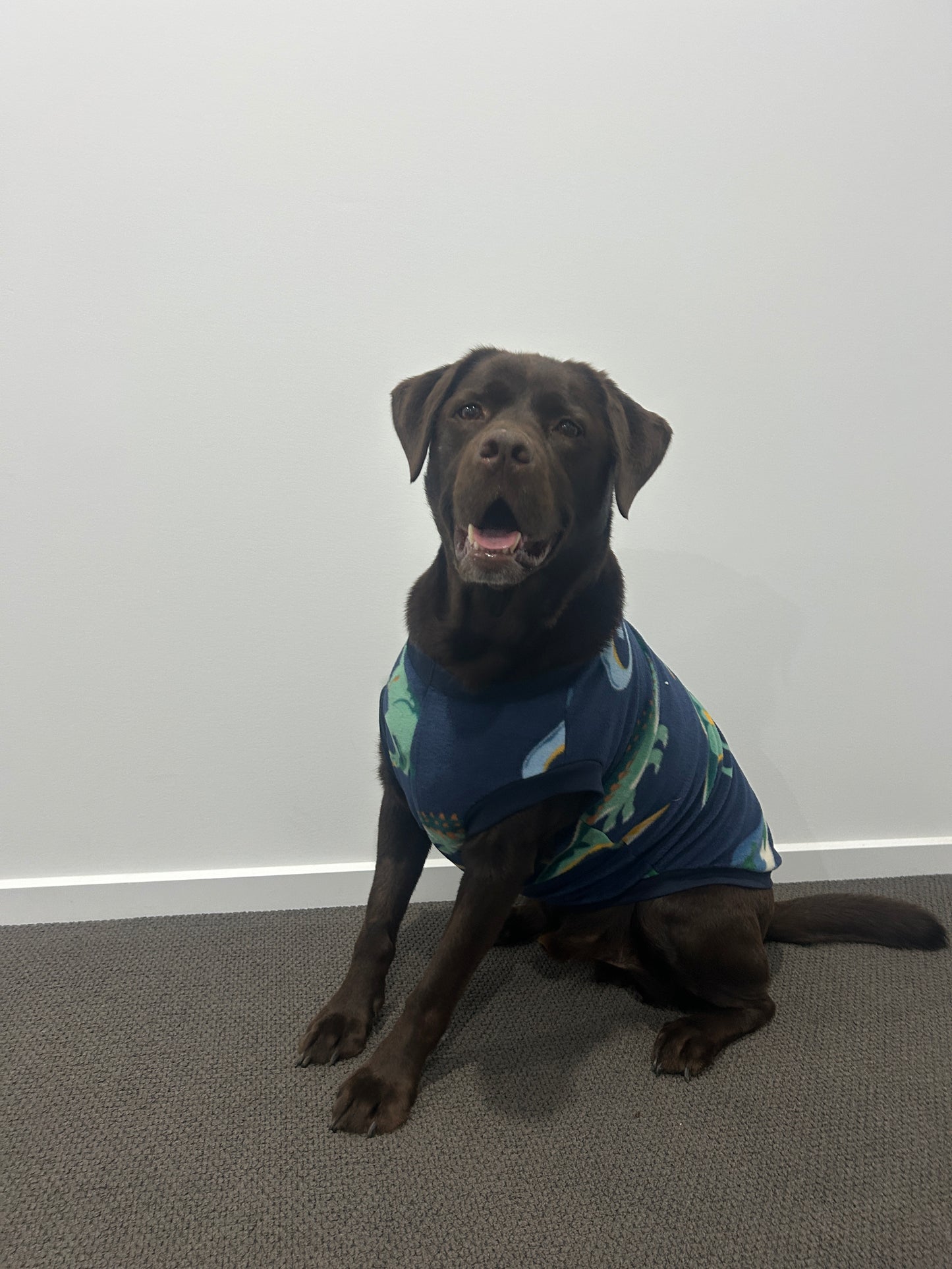 Navy Dinosaur Jumper