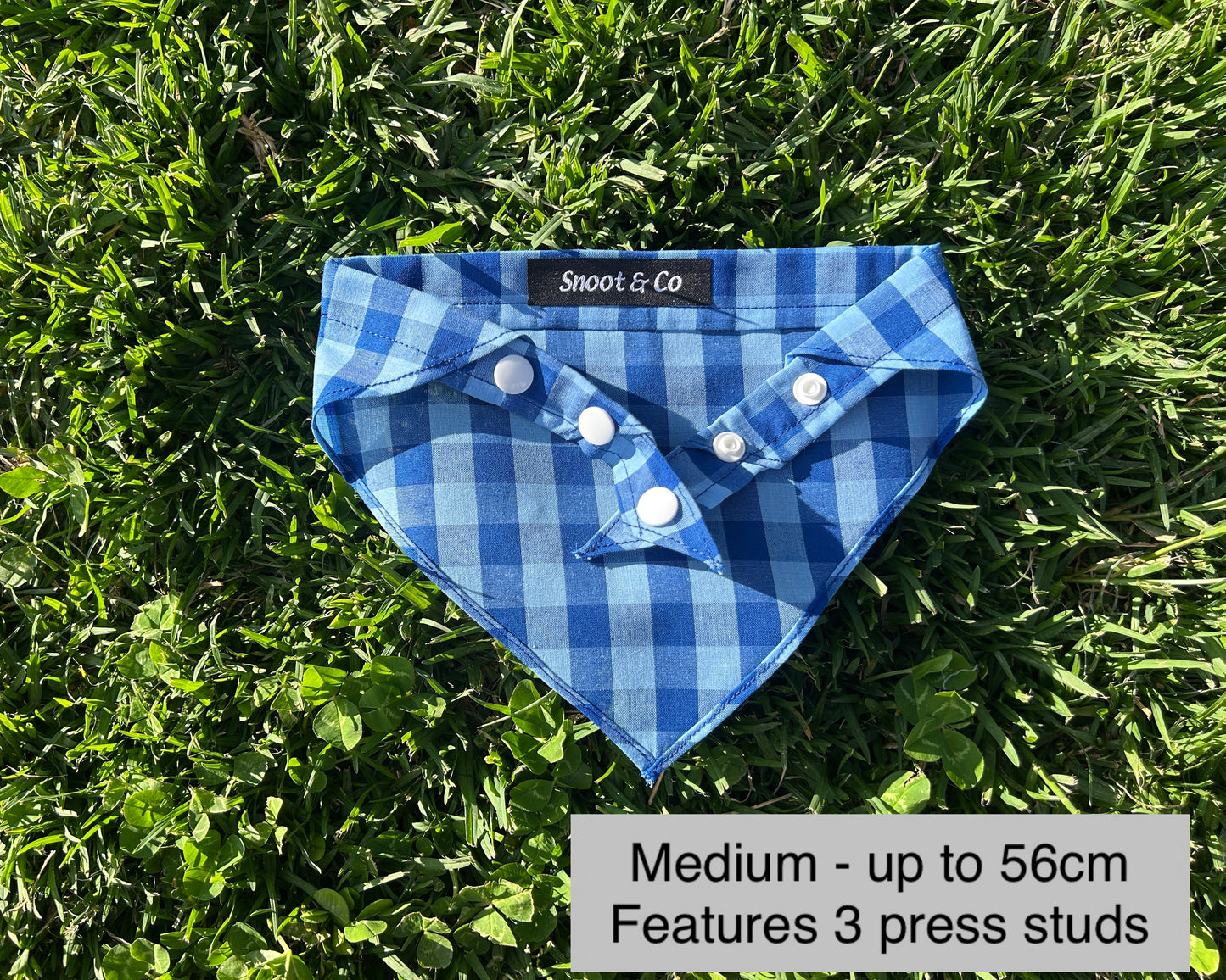 Blue Gingham Bandana