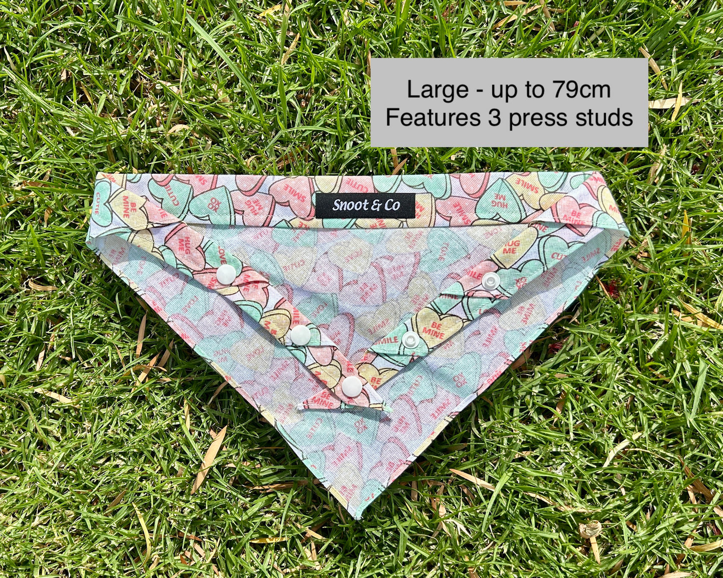Sweet Hearts Bandana