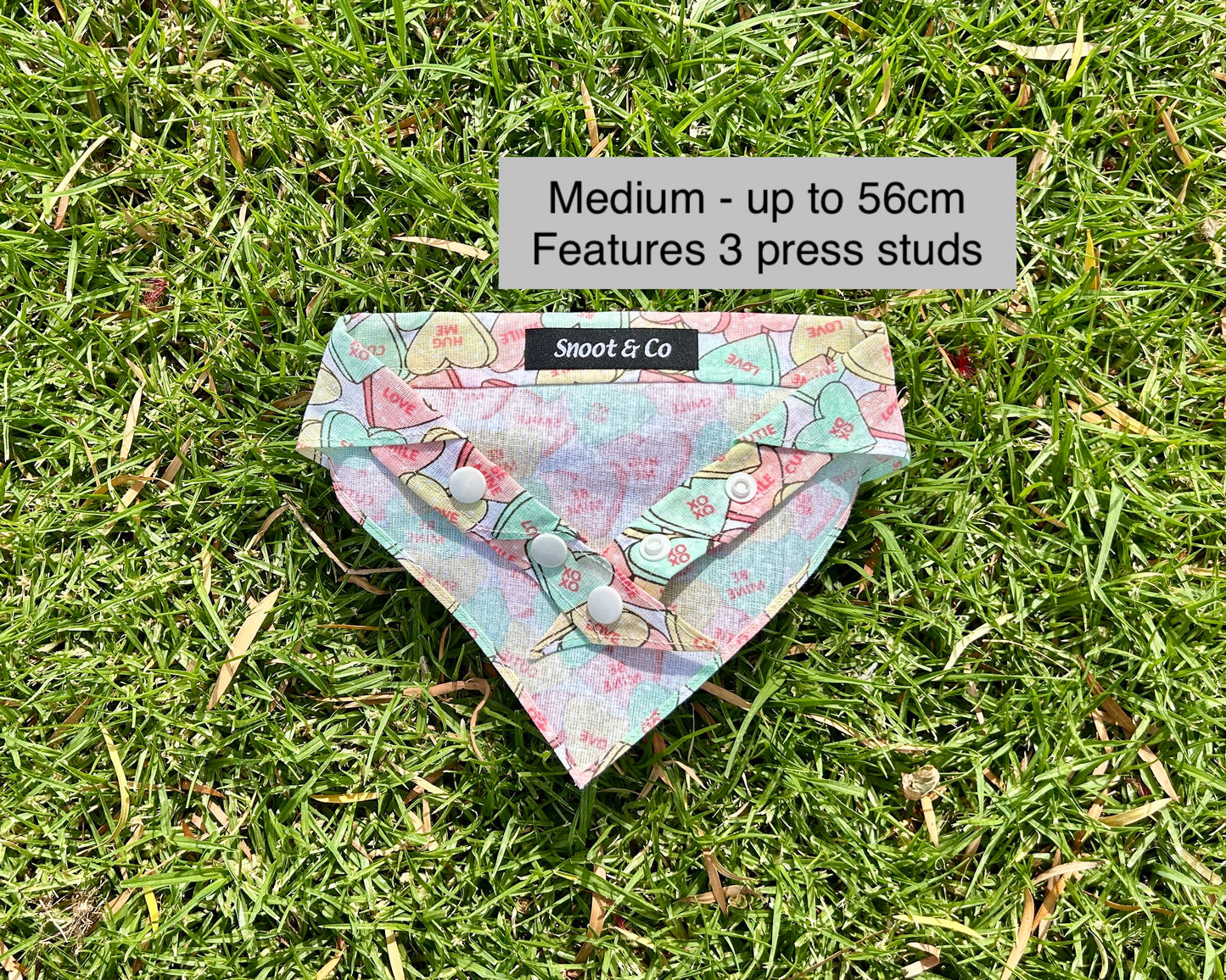 Sweet Hearts Bandana
