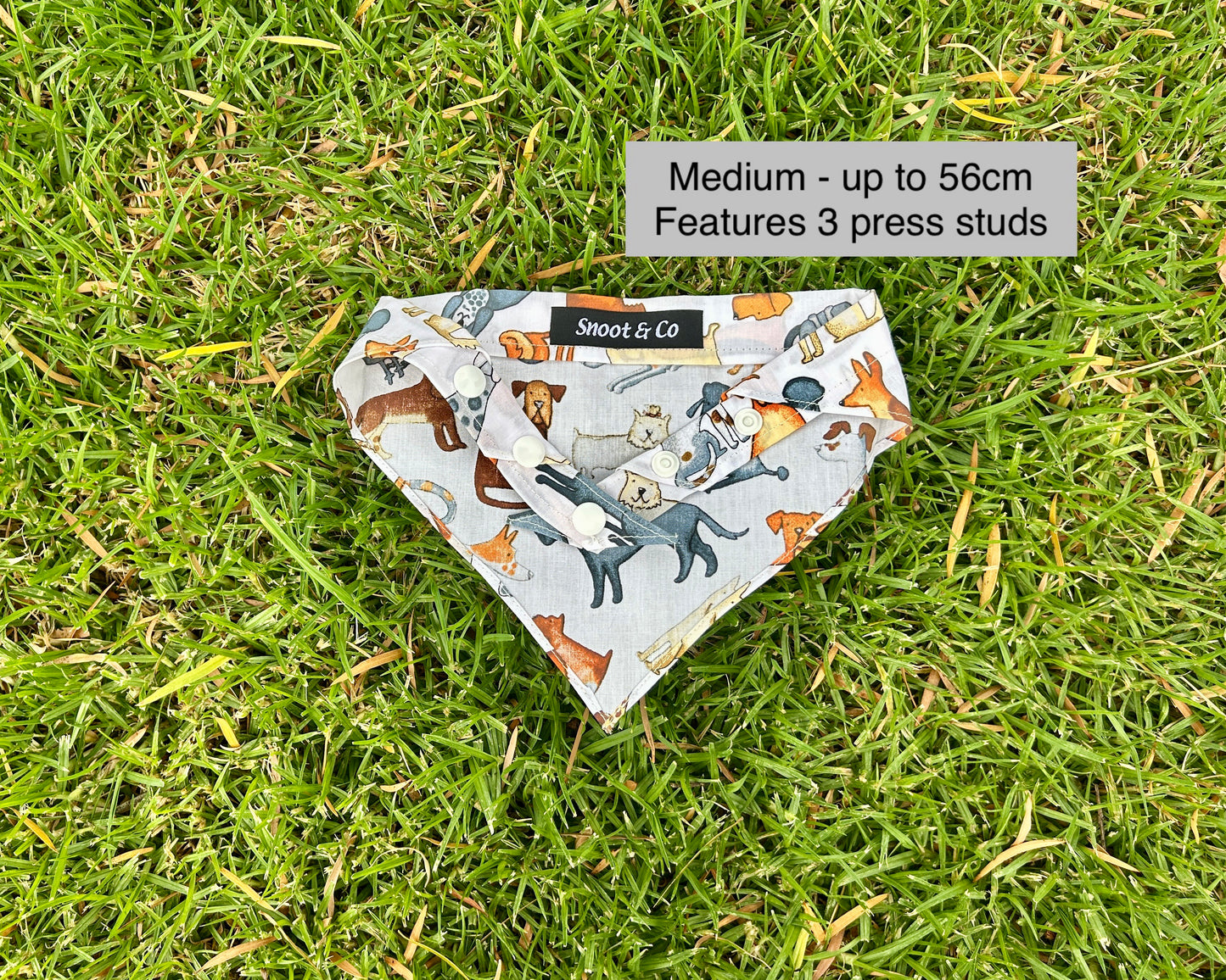 Dogs Bandana