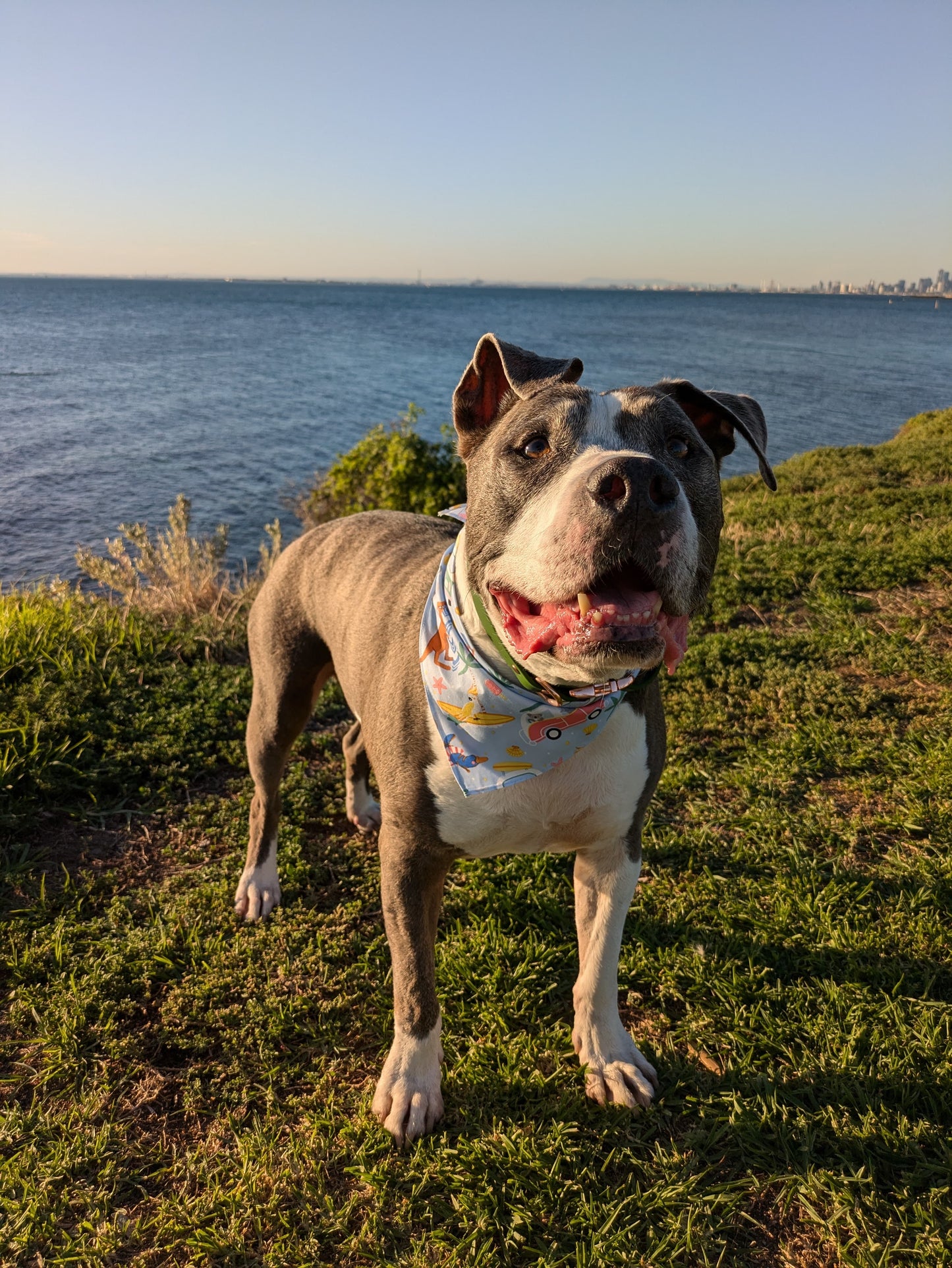 Aussie Summer Bandana