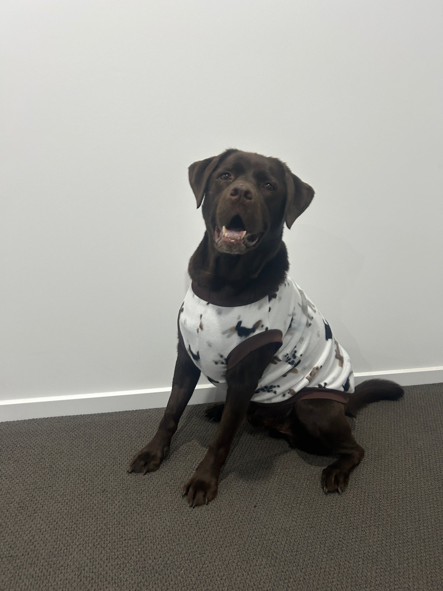 Dog Park Jumper