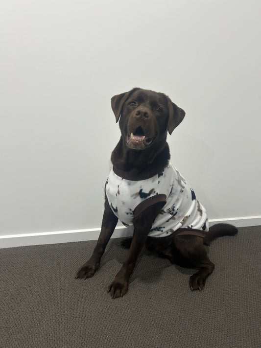 Dog Park Jumper