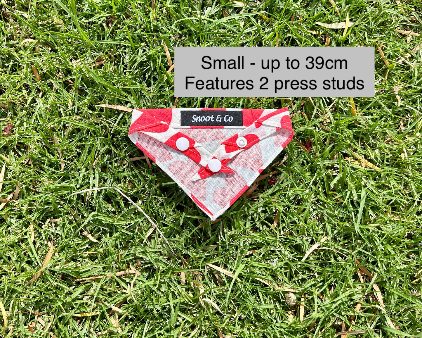 Love Hearts Bandana