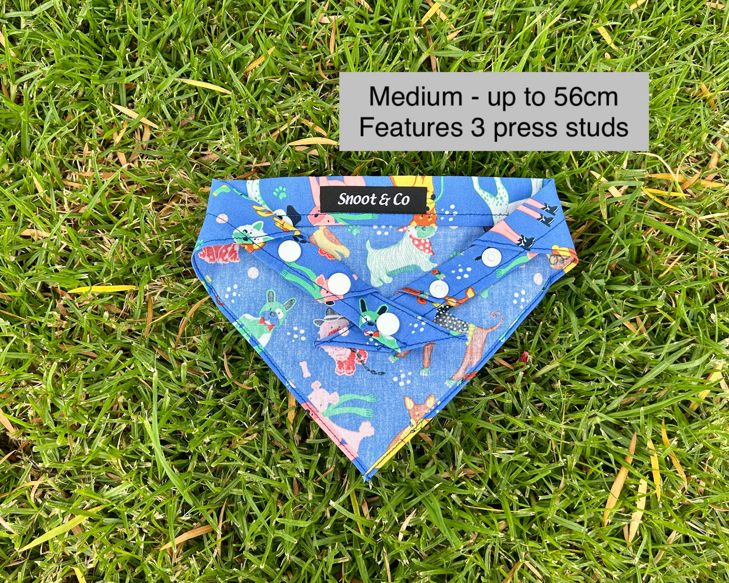 Dapper Dogs Bandana