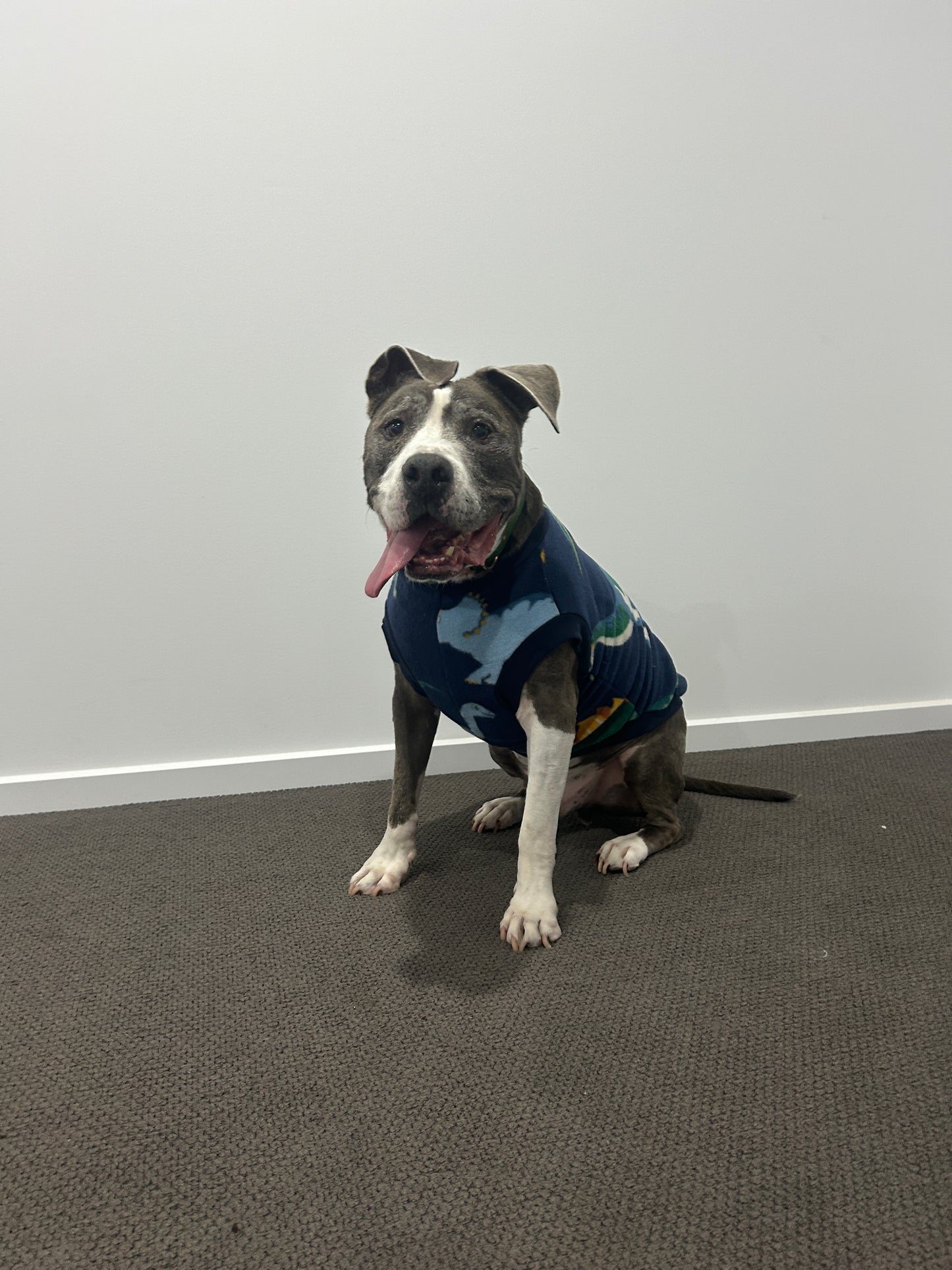 Navy Dinosaur Jumper