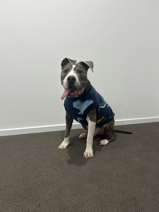 Navy Dinosaur Jumper
