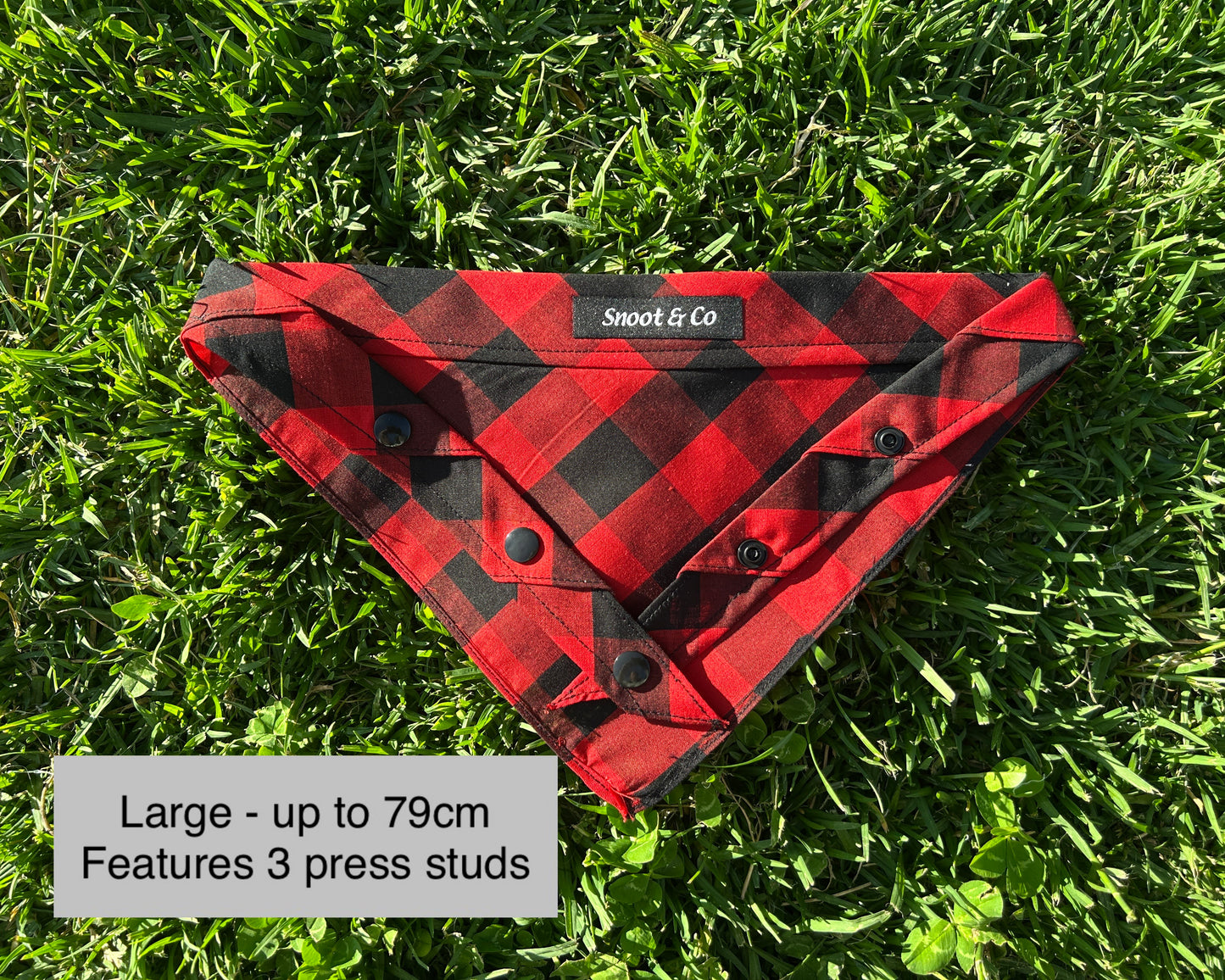 Red & Black Gingham Bandana