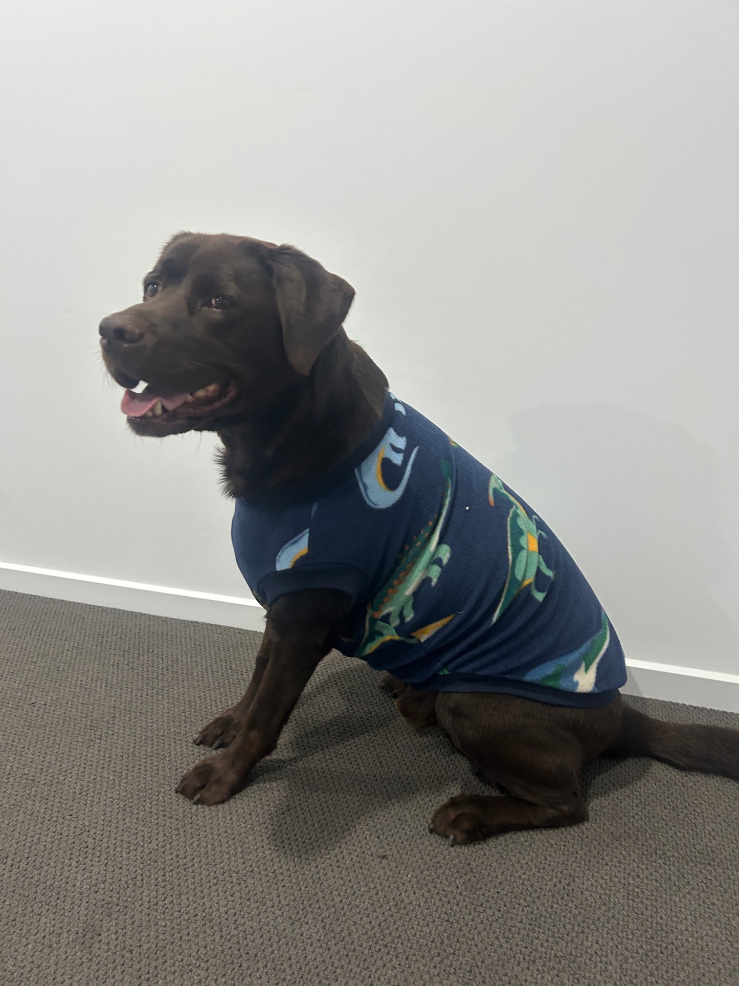 Navy Dinosaur Jumper