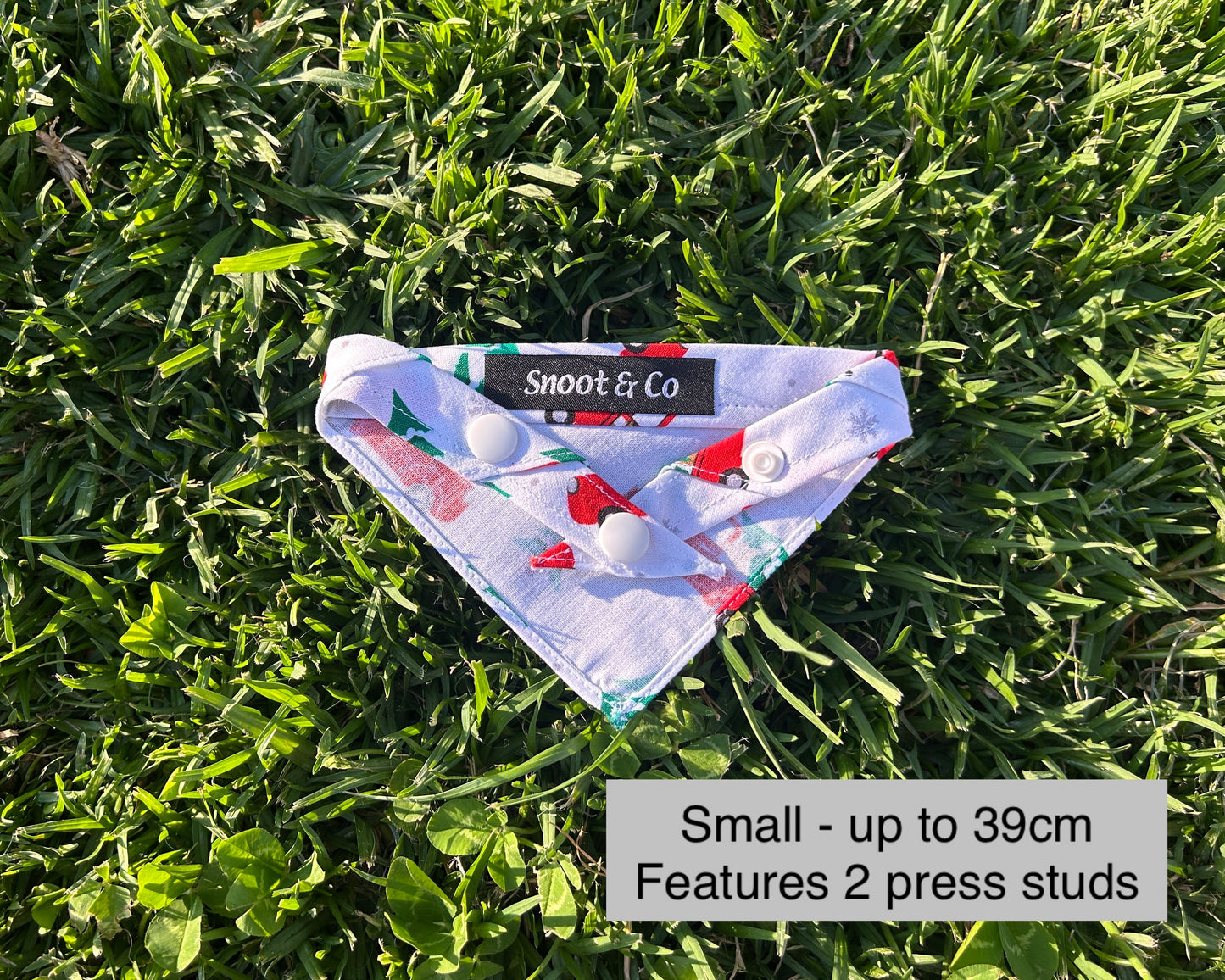 Puppy in Ute Christmas Bandana