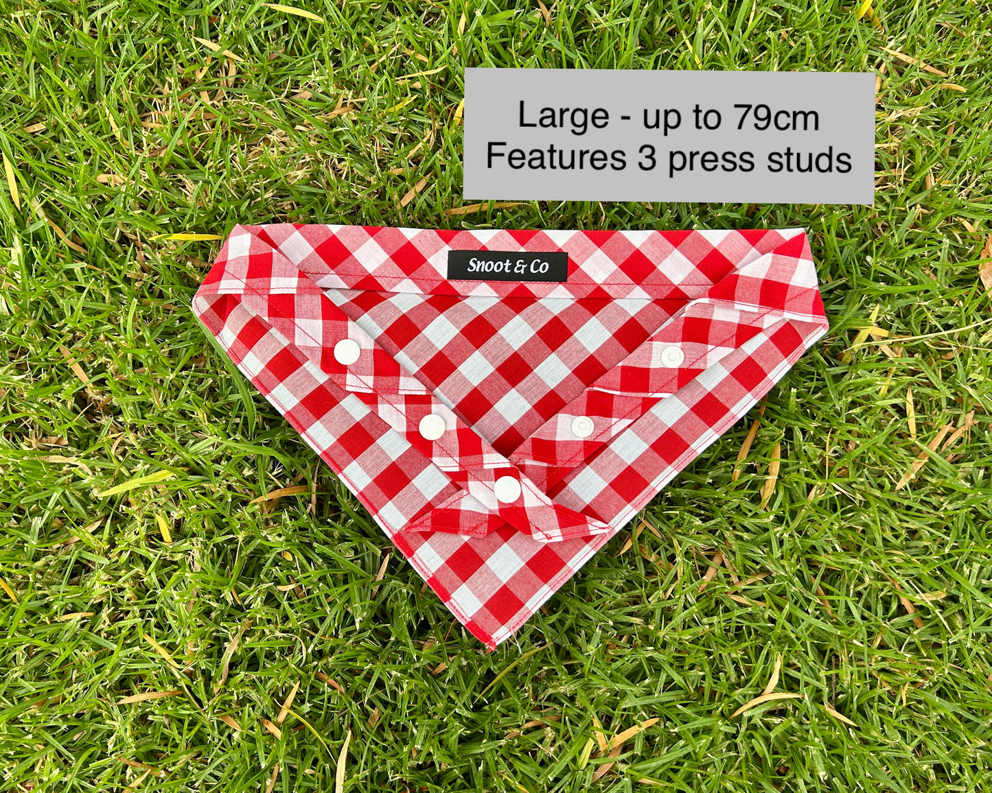 Red Gingham Bandana