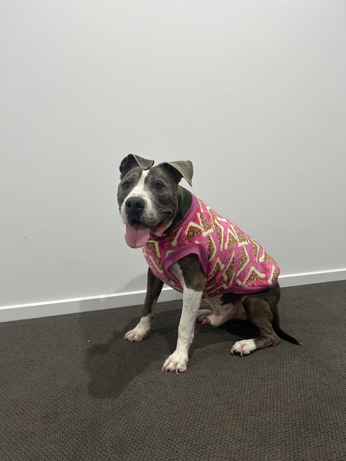 Fairy Bread Jumper - Fleece Lined