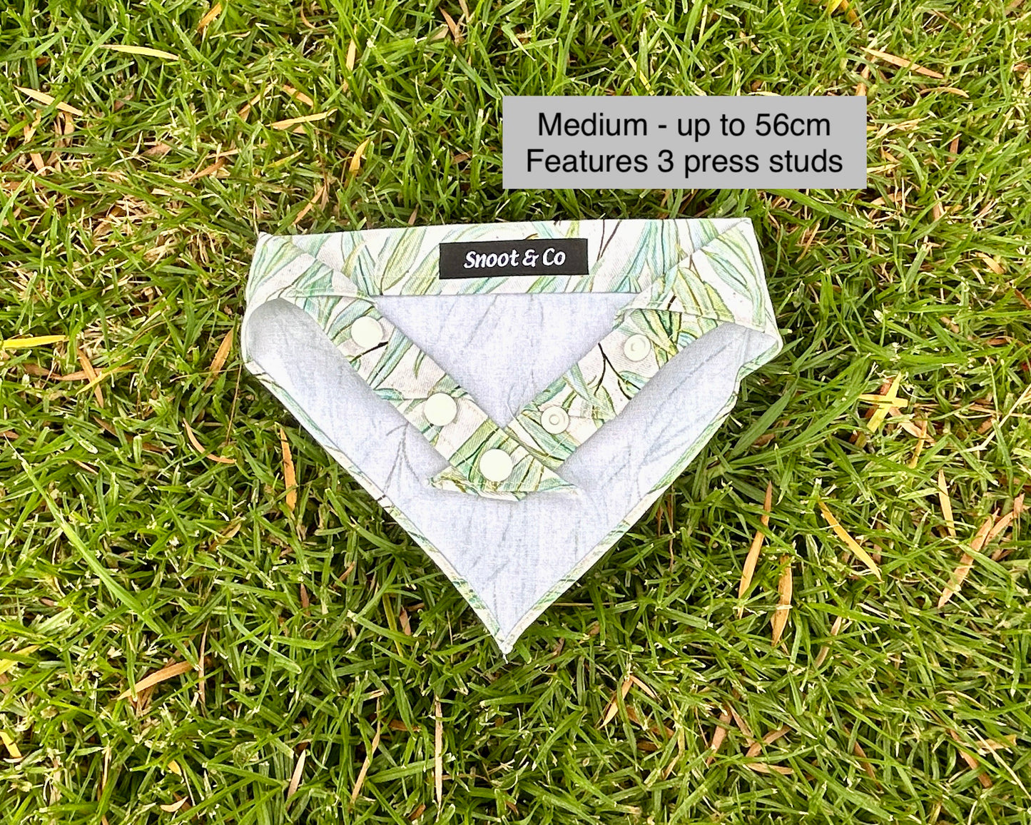Eucalyptus Bandana