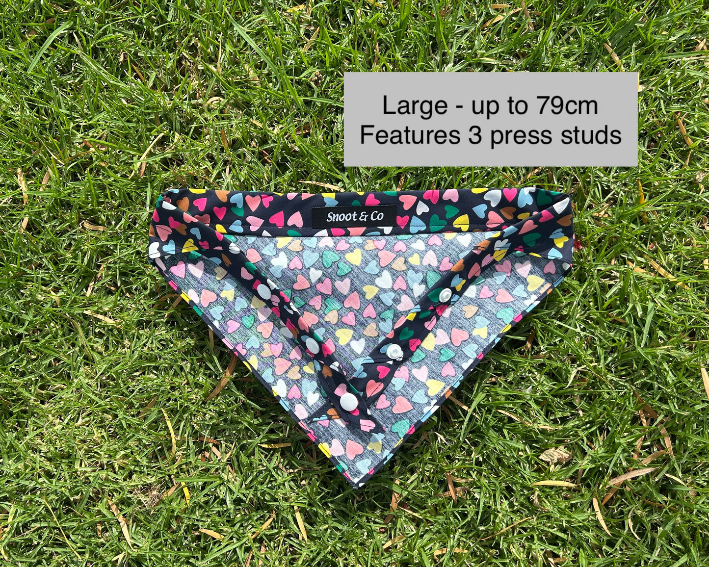 Multi Coloured Hearts Bandana