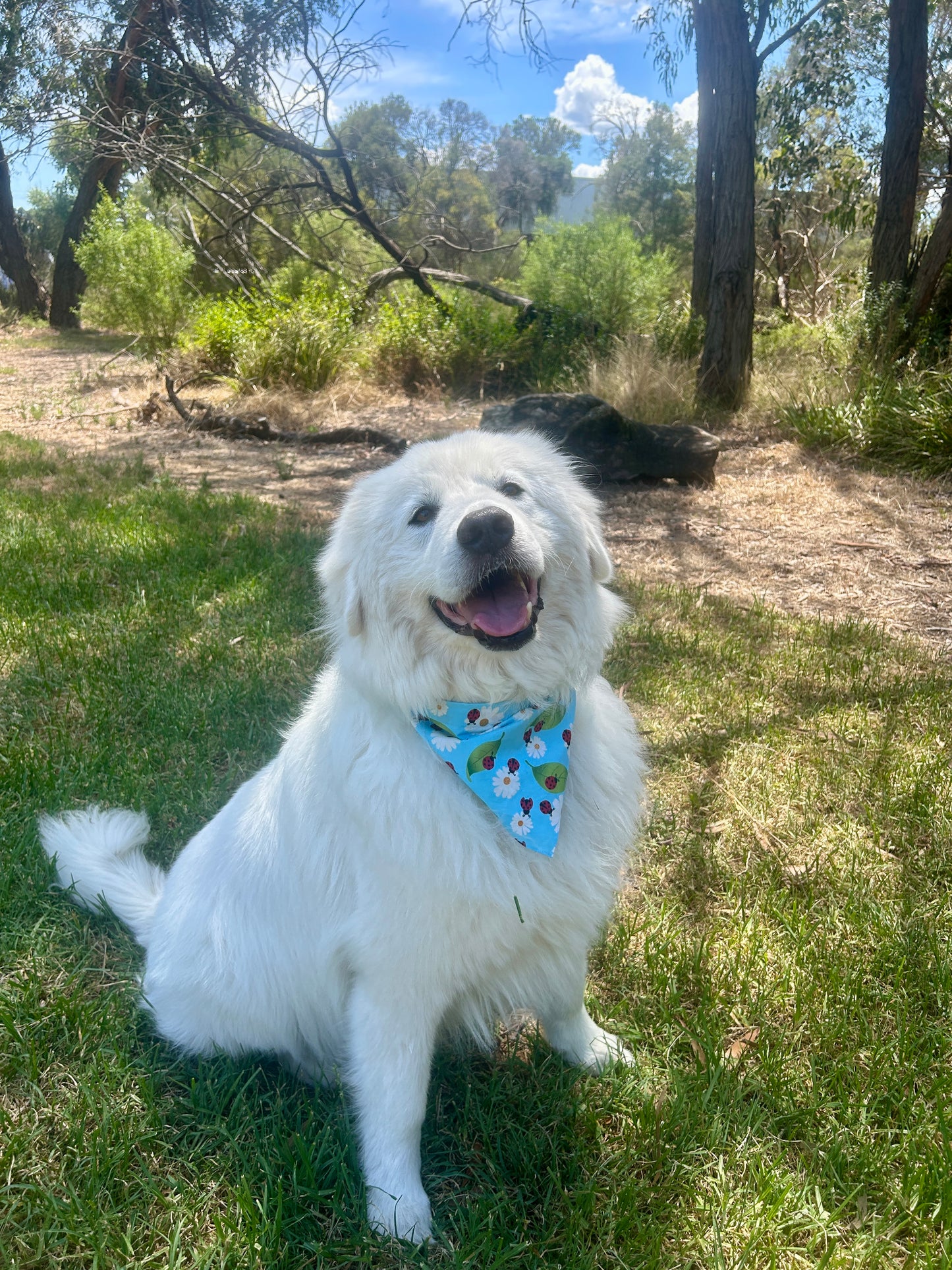 Ladybird Bandana