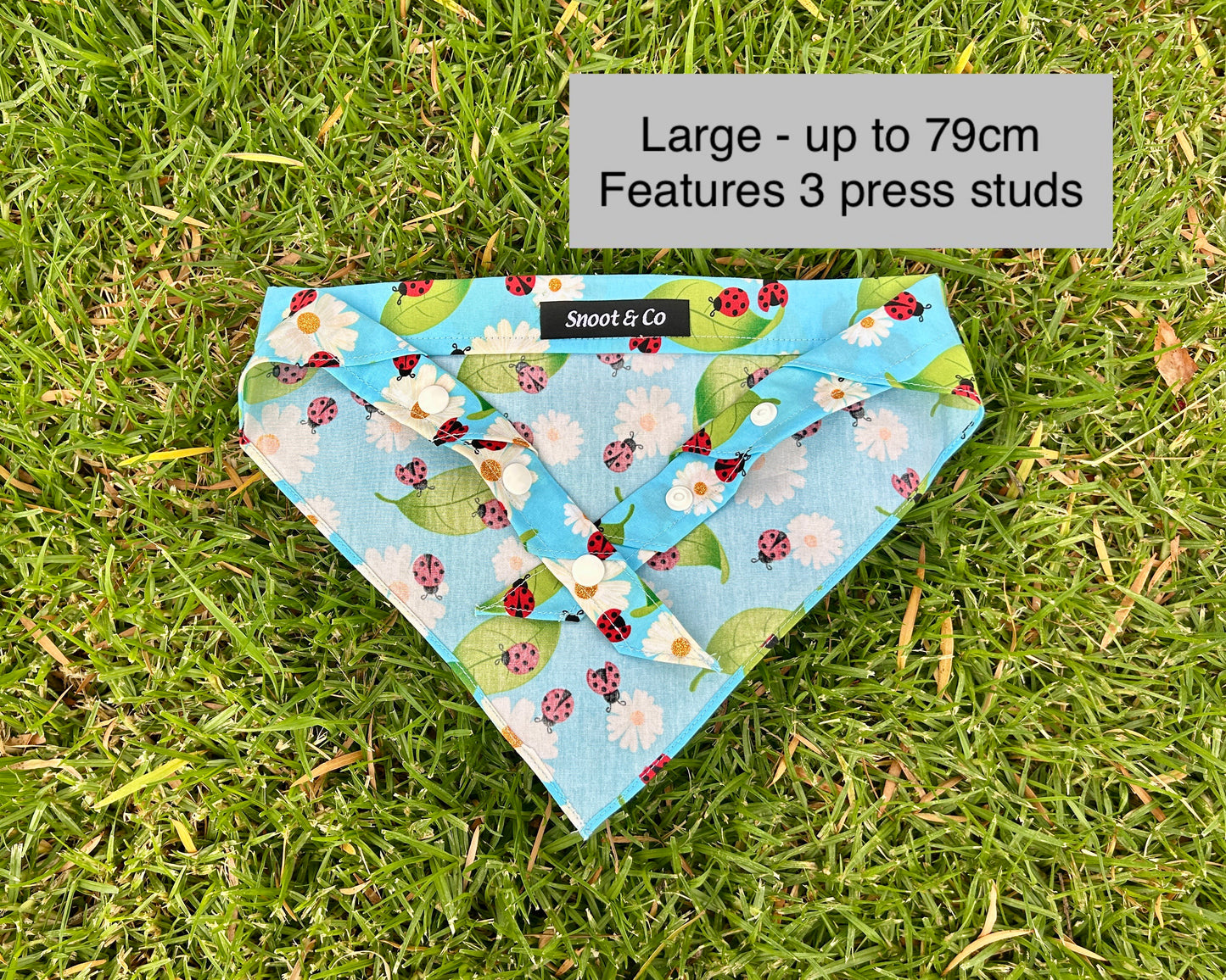Ladybird Bandana