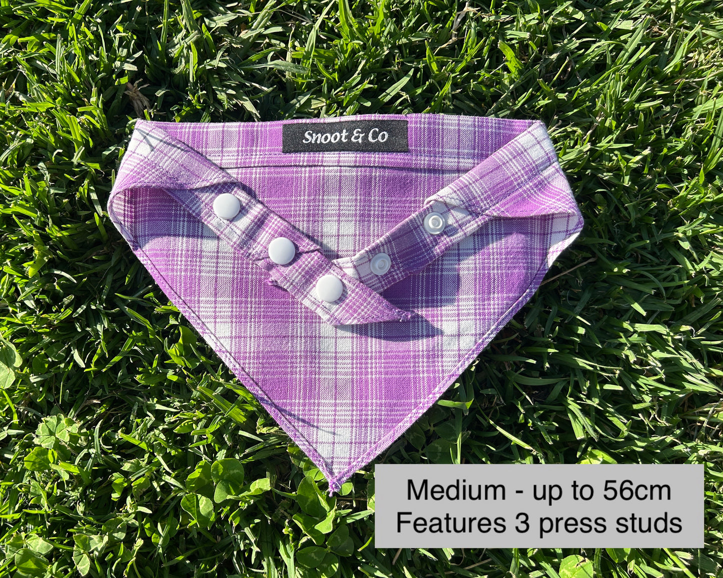 Purple Check Bandana