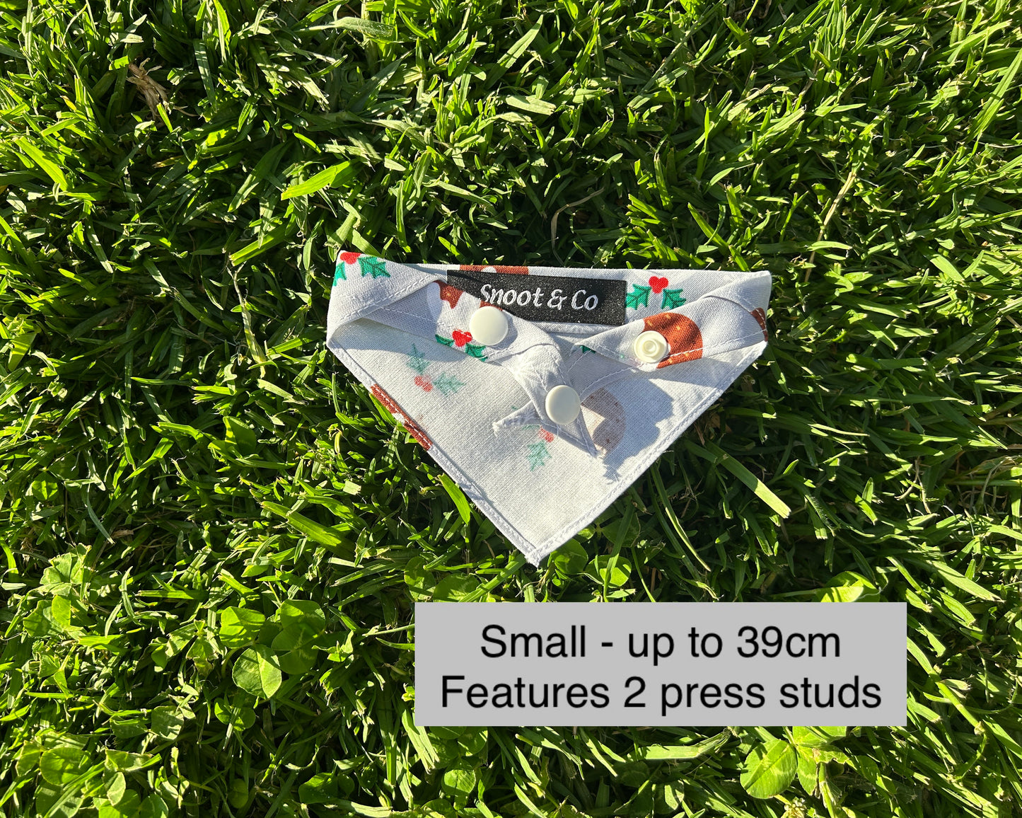 Plum Pudding Bandana