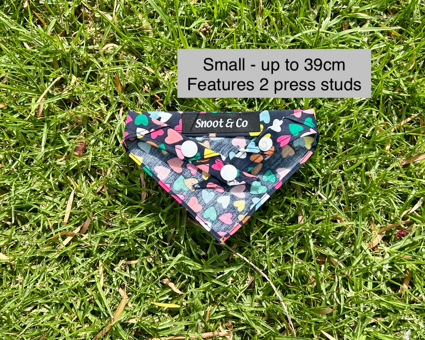 Multi Coloured Hearts Bandana