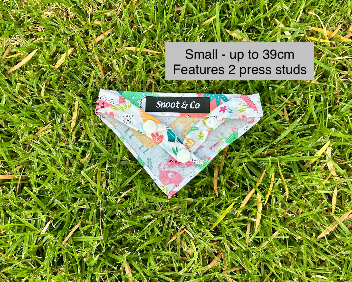 Colourful Dinosaur Bandana