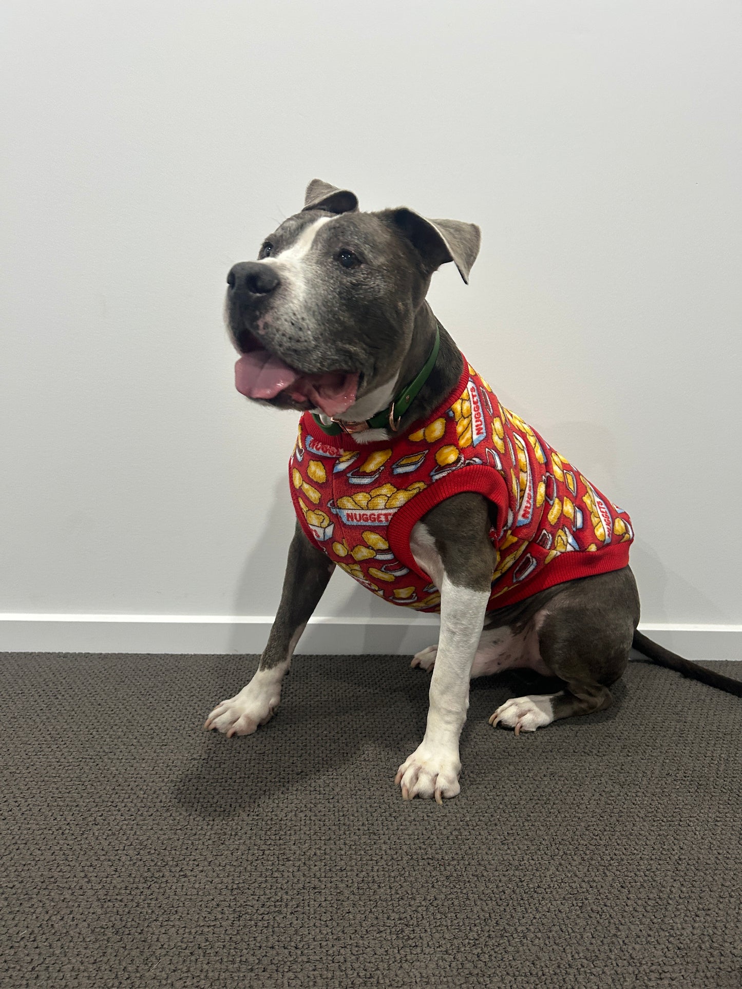 Nuggets Jumper - Fleece Lined