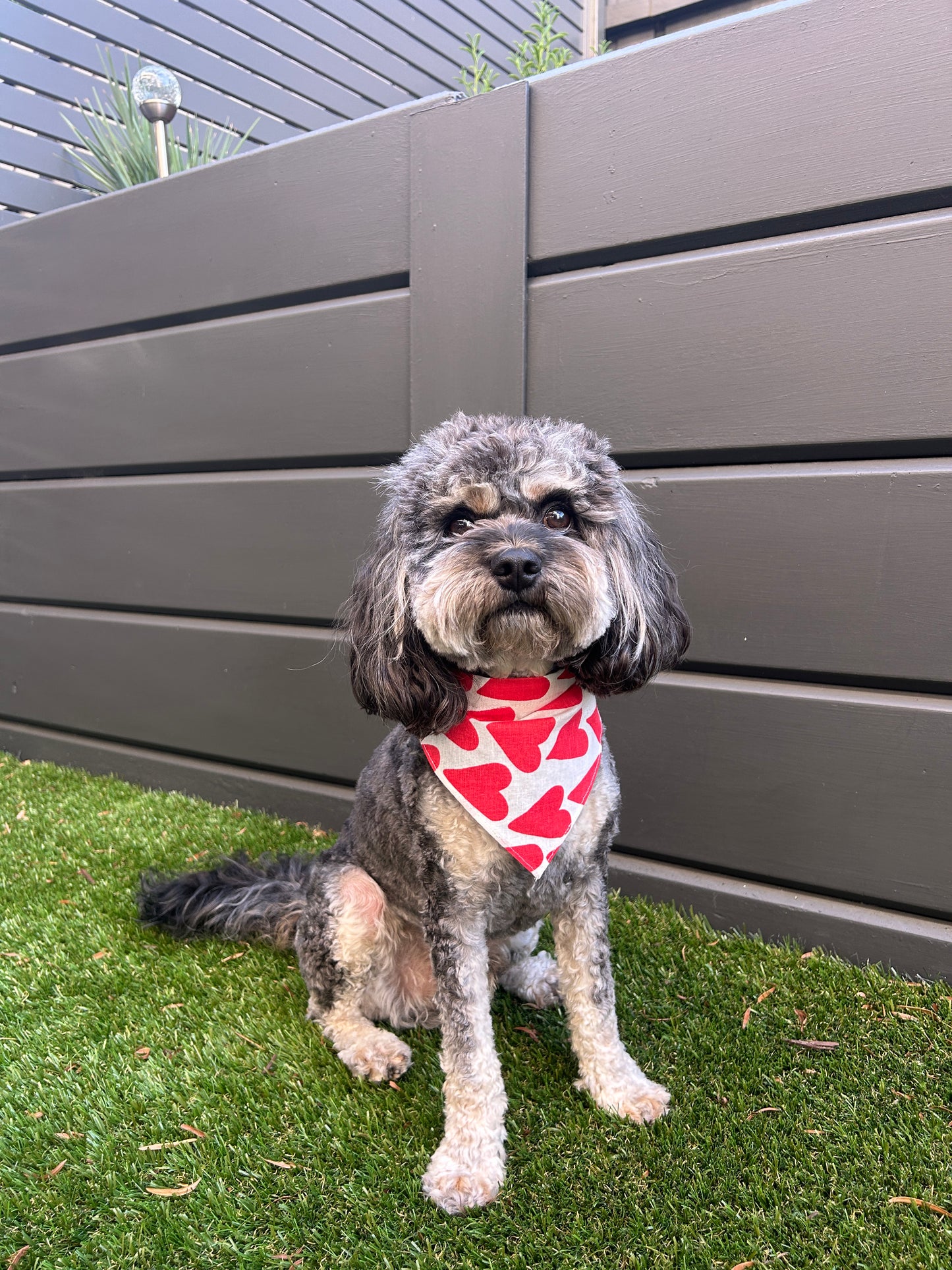 Love Hearts Bandana