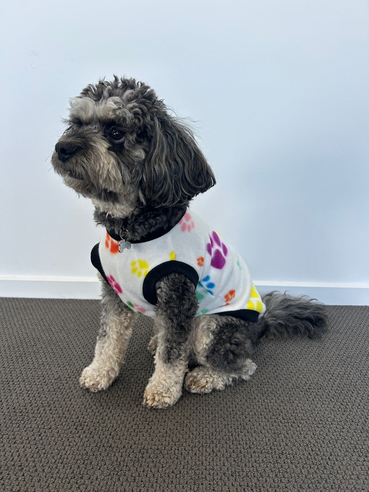 Multi Coloured Paw Print Jumper