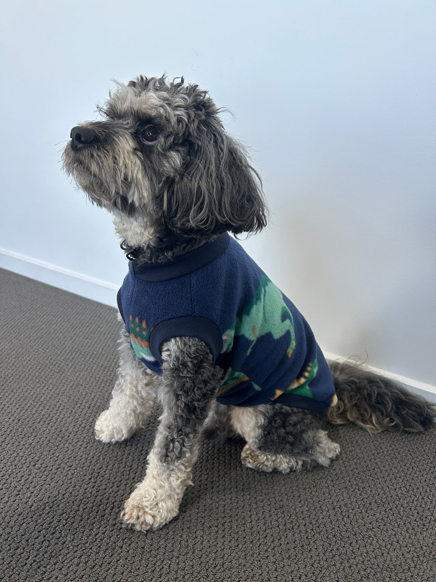 Navy Dinosaur Jumper