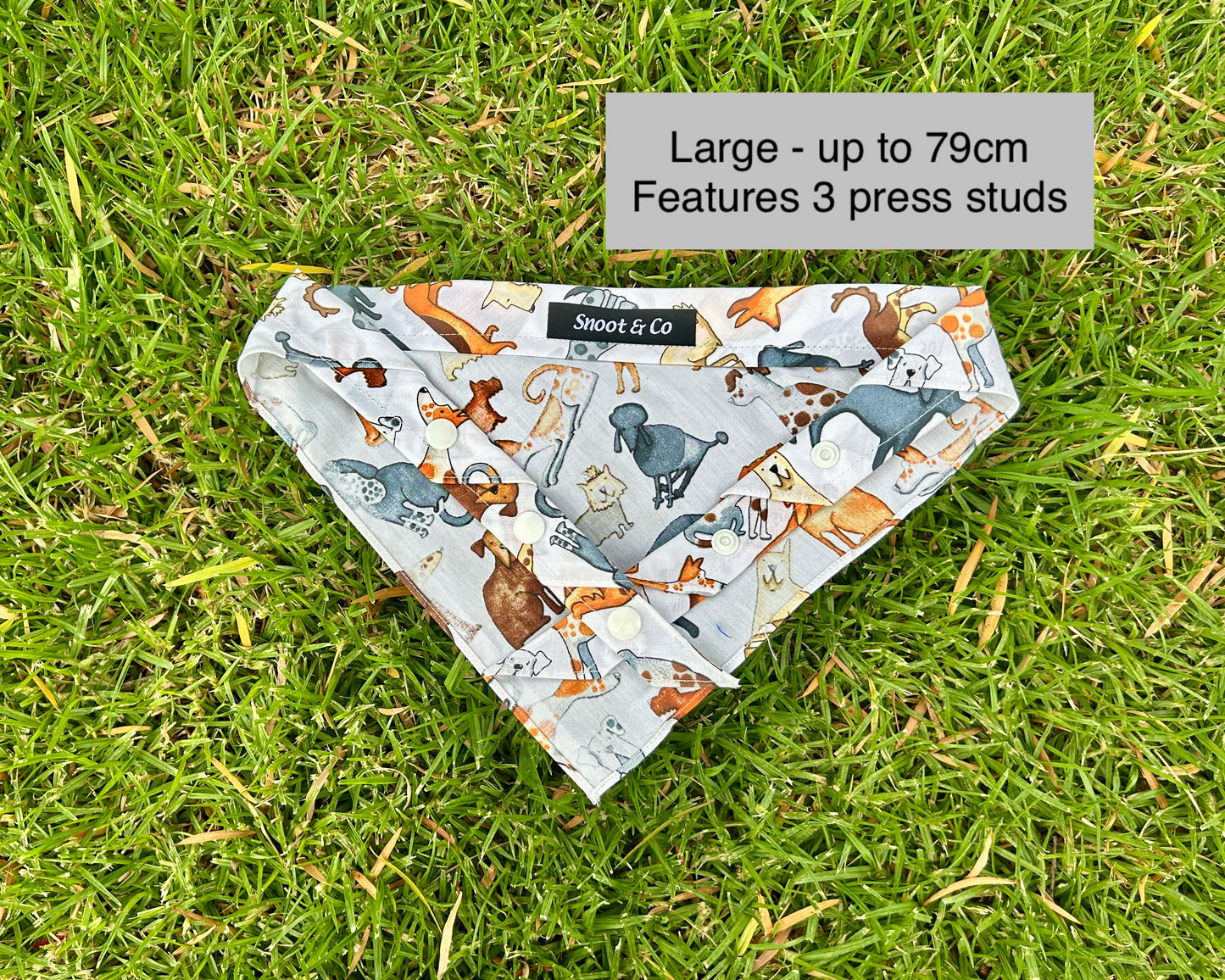 Dogs Bandana