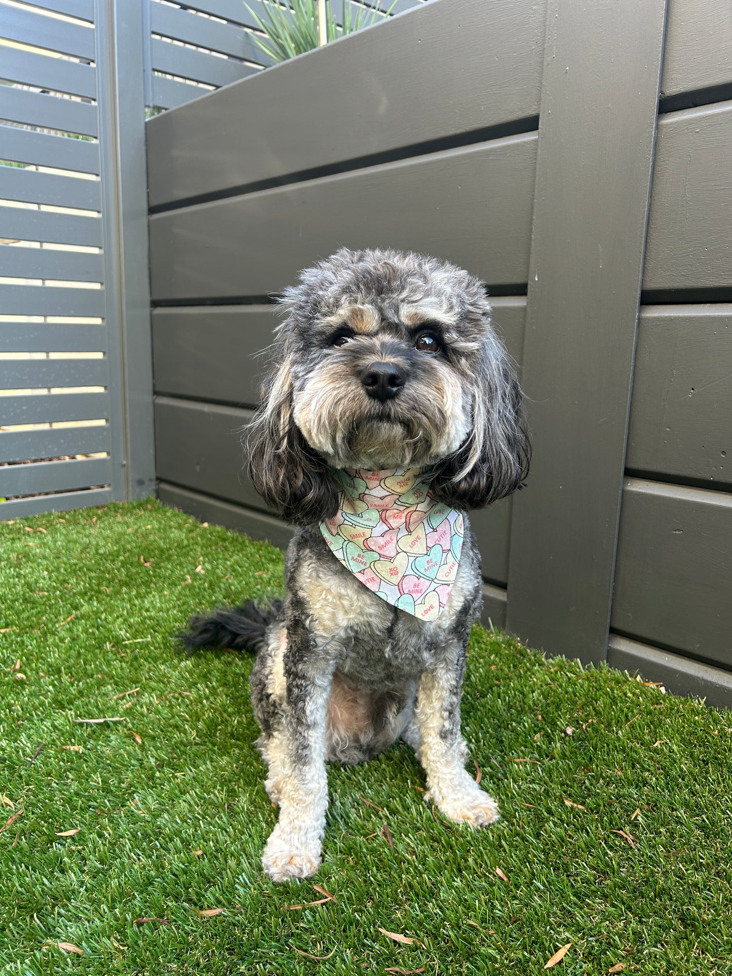 Sweet Hearts Bandana