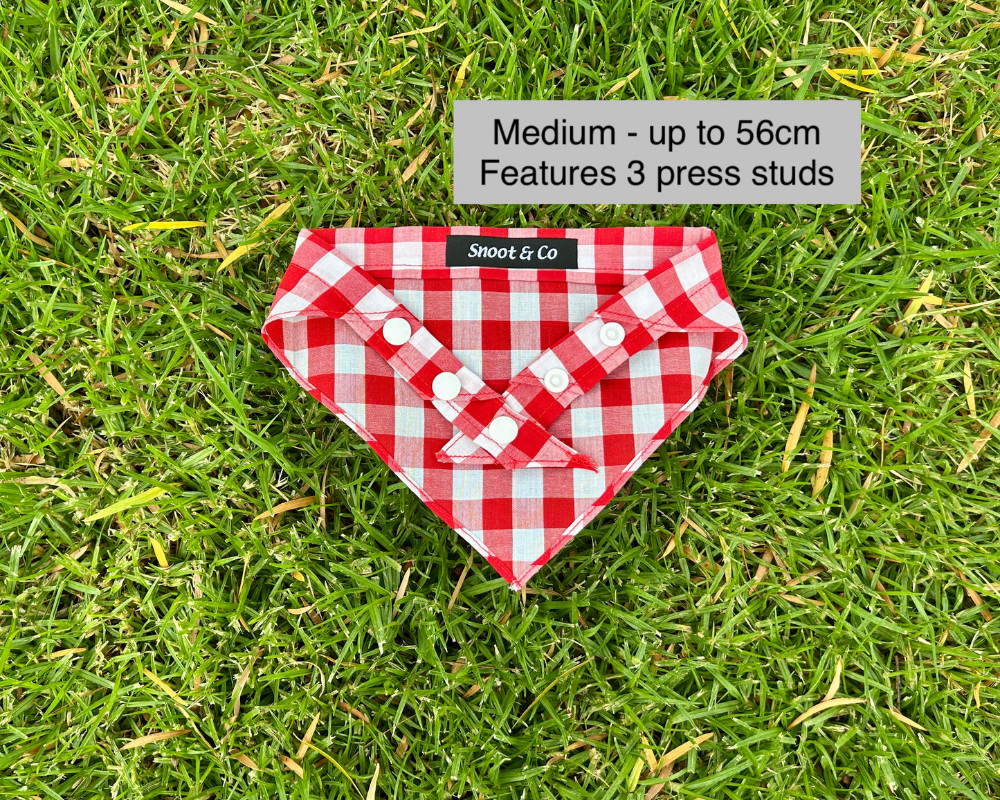 Red Gingham Bandana