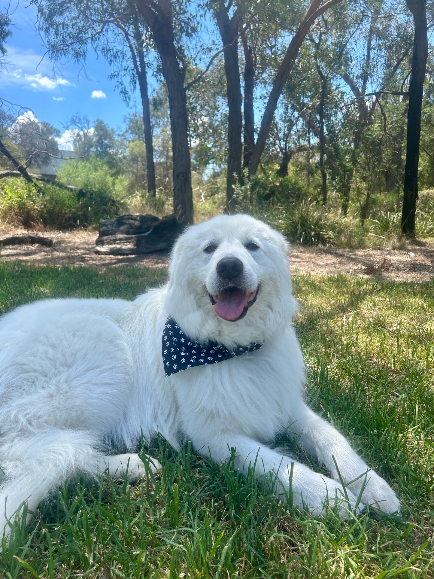 Black Pawprint Bandana