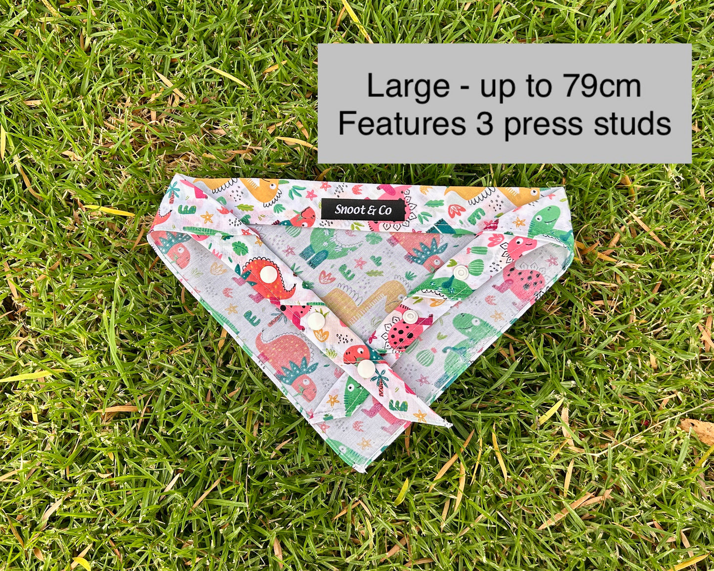 Colourful Dinosaur Bandana