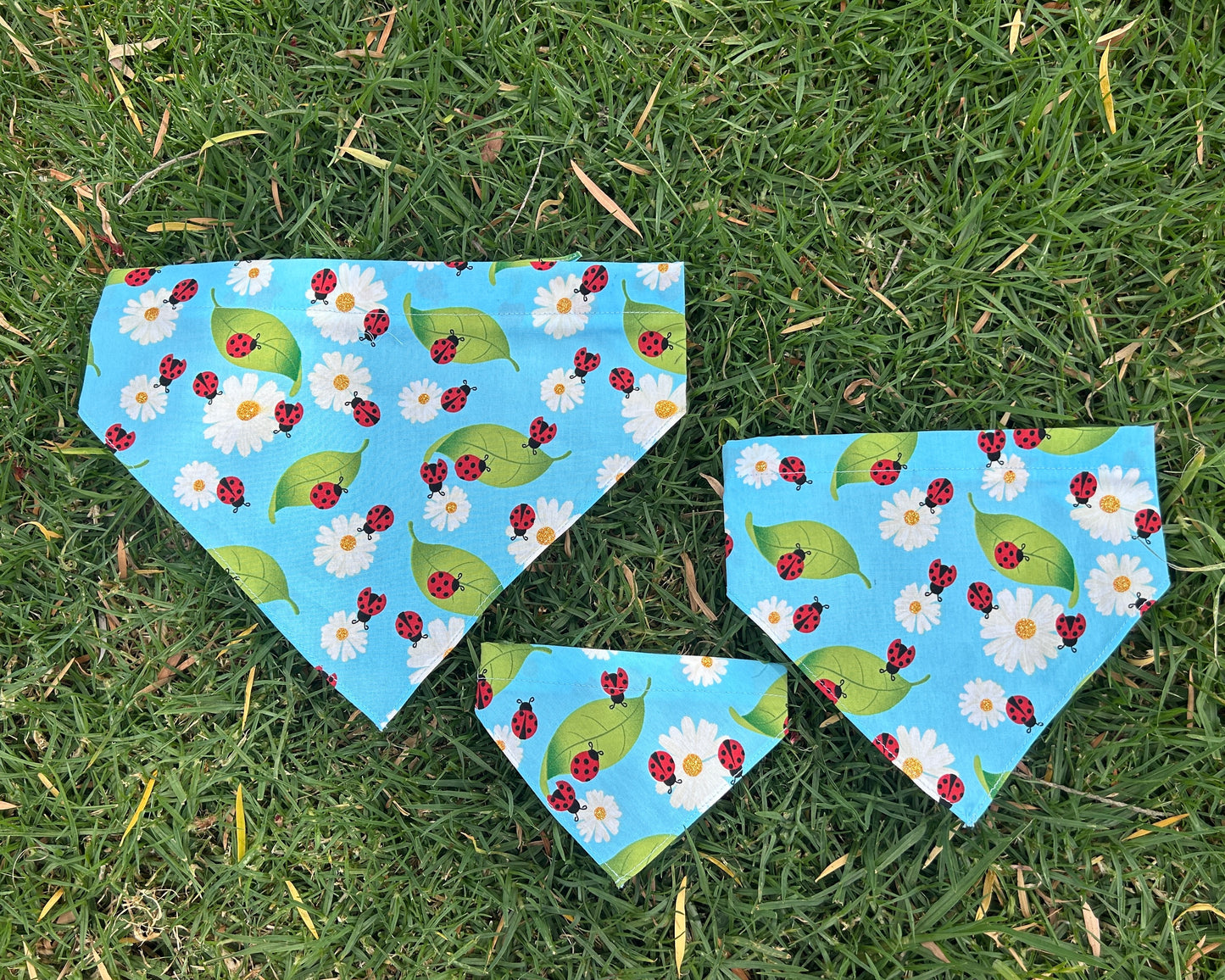 Ladybird Bandana