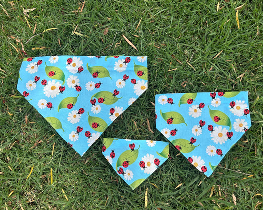 Ladybird Bandana