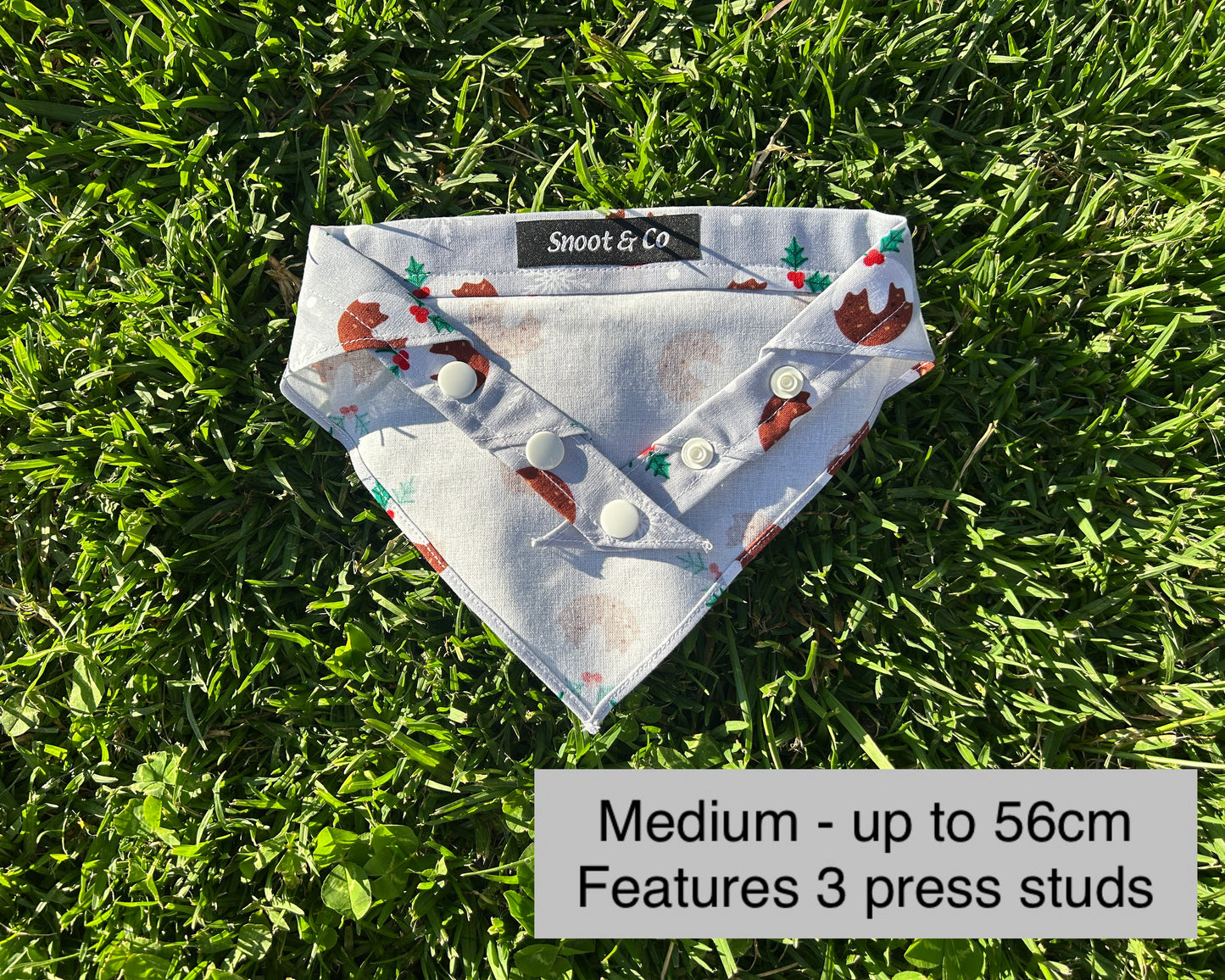 Plum Pudding Bandana