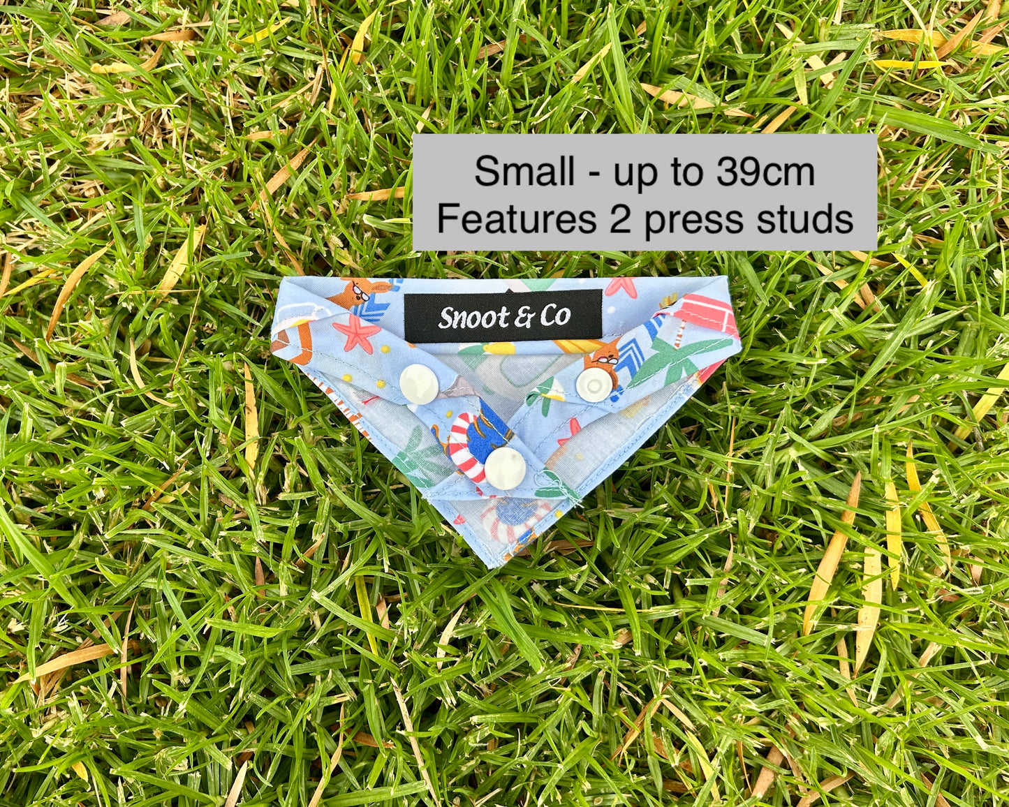 Aussie Summer Bandana