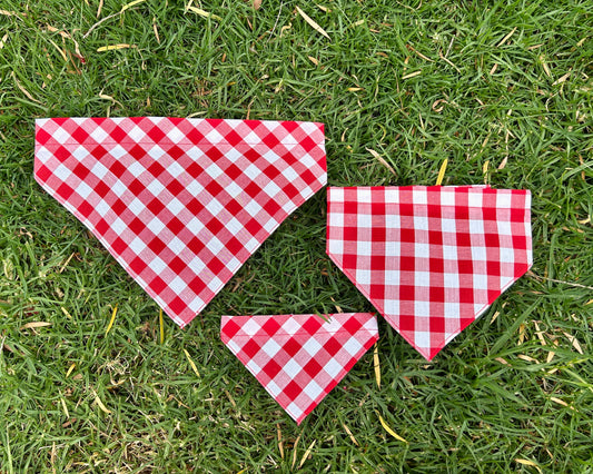 Red Gingham Bandana