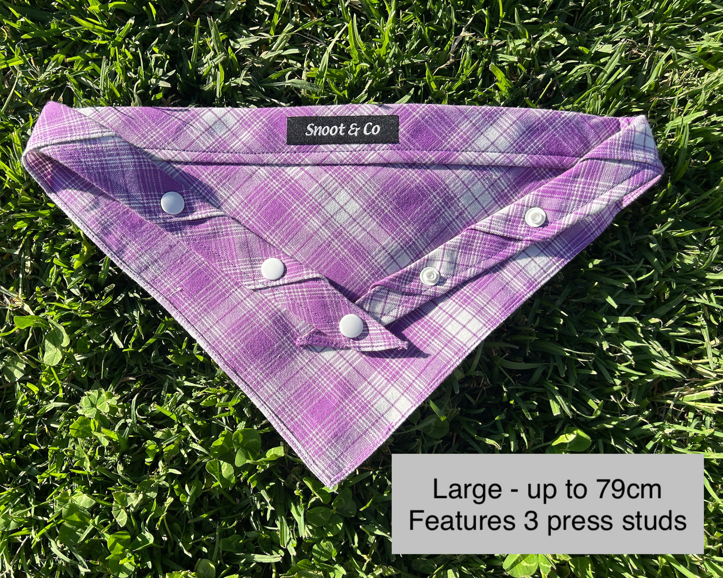 Purple Check Bandana
