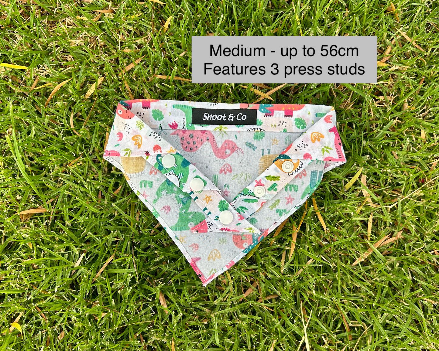 Colourful Dinosaur Bandana