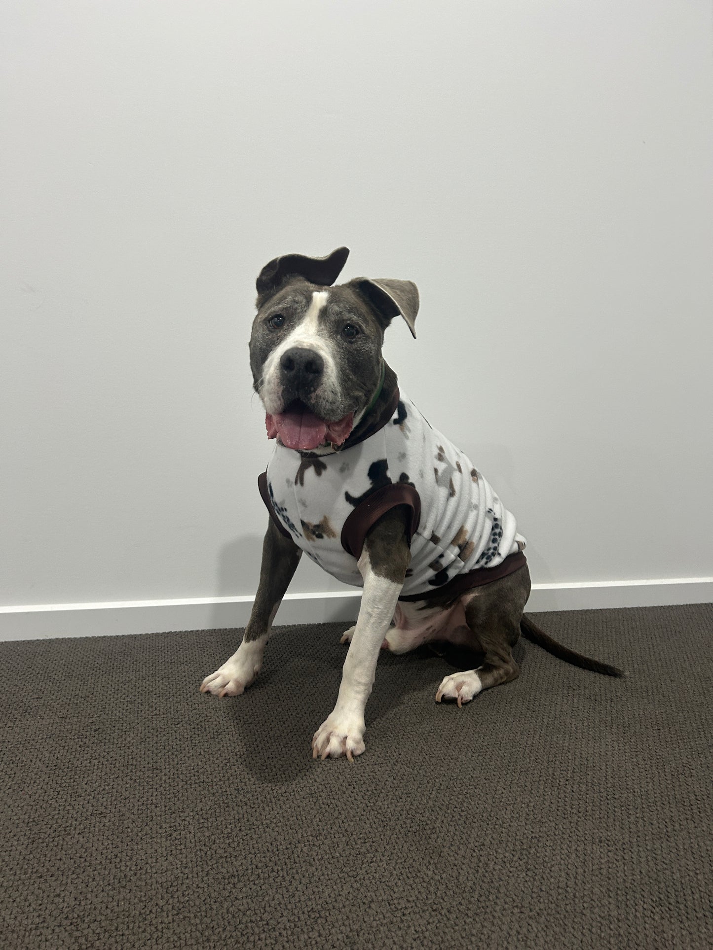 Dog Park Jumper